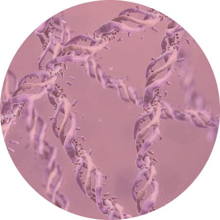 Liquid BioCell Collagen/HA Matrix