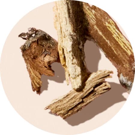 Pine Bark Extract